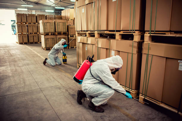 Trusted Ixonia, WI Pest Control Experts