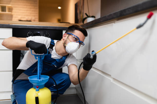 Best Pest Inspection Near Me  in Ixonia, WI