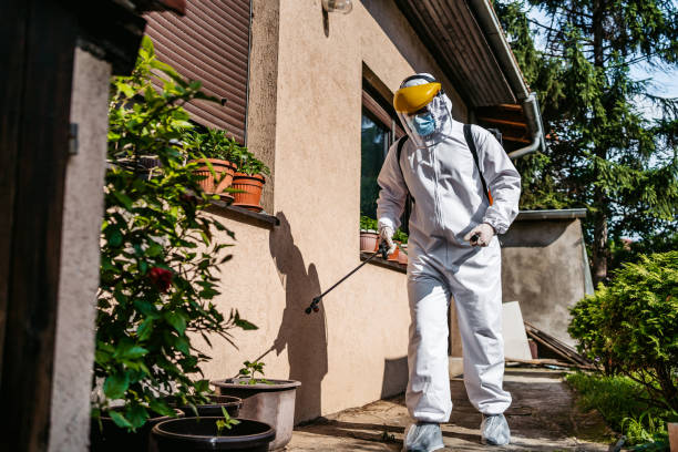 Best Local Pest Control Services  in Ixonia, WI