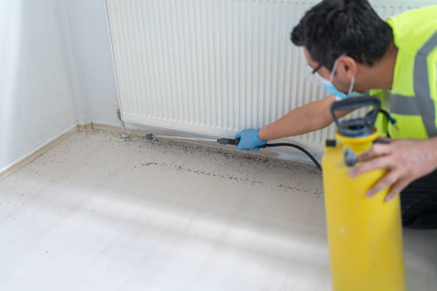 Best Mosquito Control Services  in Ixonia, WI