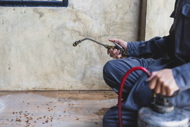 Best Best Pest Control Companies  in Ixonia, WI